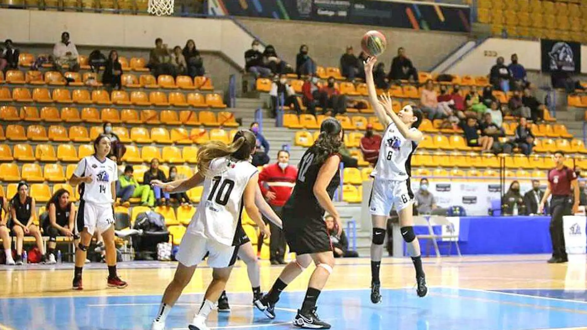 jugadoras de lobas contra mineras Limeba